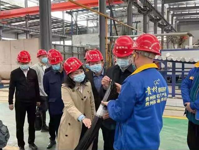 貴陽市常委、市工商聯(lián)、廣東總商會(huì)一行到我廠調(diào)研